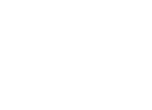 Steak 'n Shake